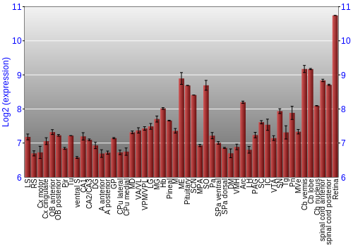Expression graph