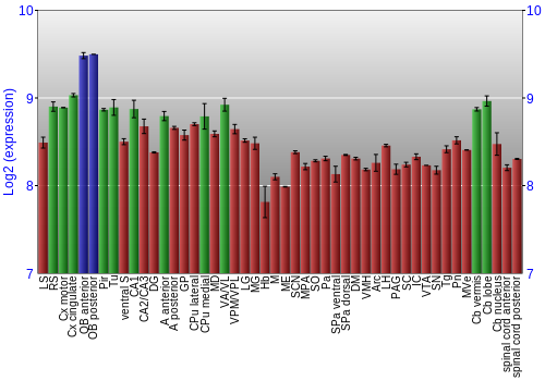 Multi-state expression graph
