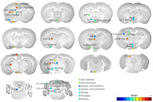 Expression map