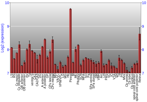 Expression graph