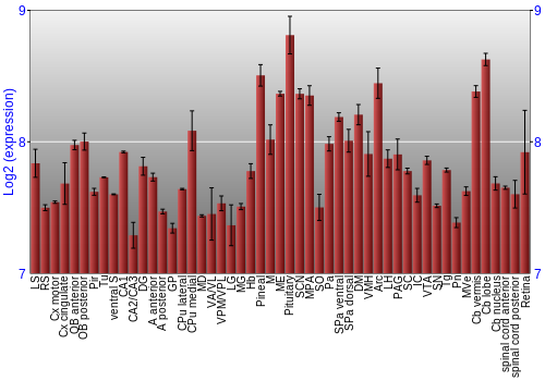 Expression graph