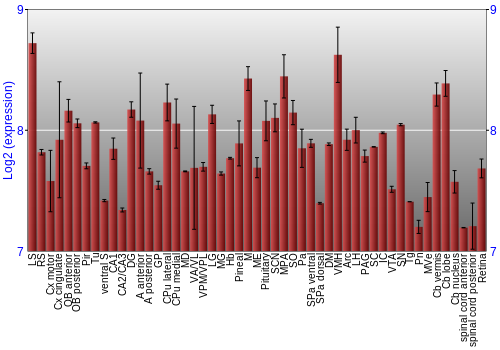 Expression graph