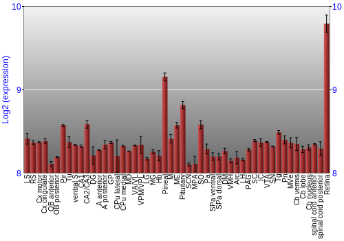 Expression graph