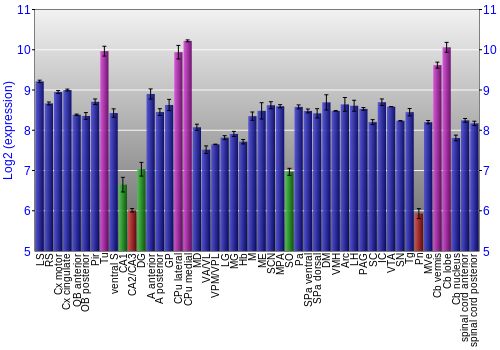 Multi-state expression graph