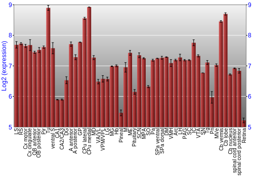 Expression graph