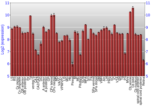Expression graph