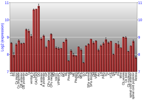 Expression graph