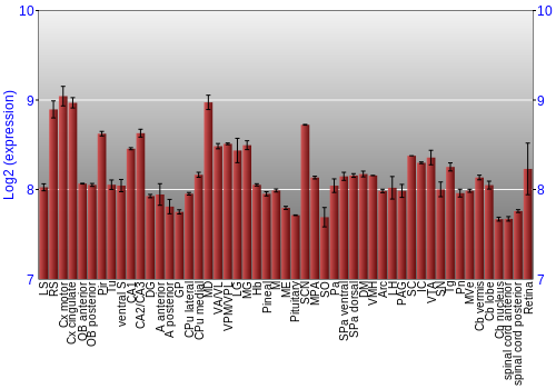 Expression graph