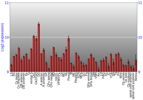 Expression graph