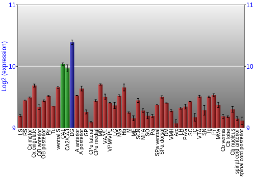 Multi-state expression graph