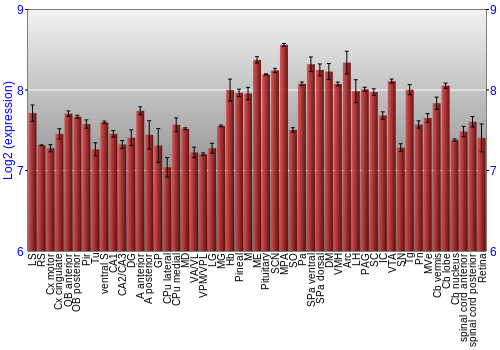 Expression graph
