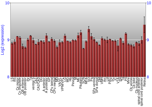 Expression graph