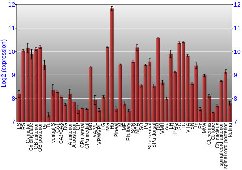 Expression graph