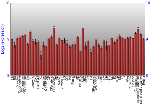 Expression graph