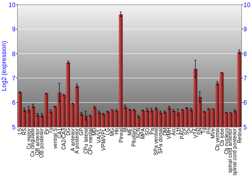 Expression graph