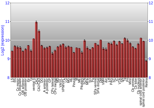 Expression graph