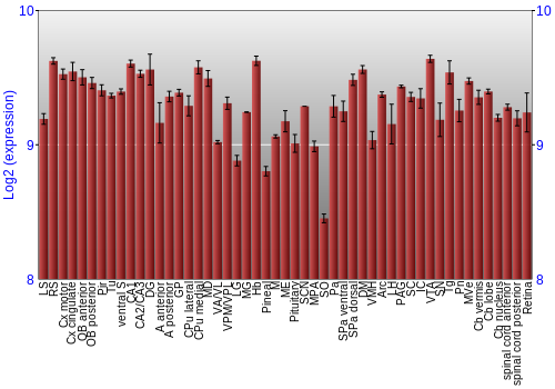 Expression graph