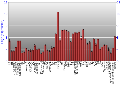 Expression graph