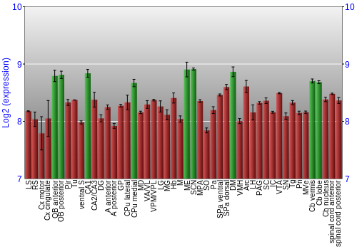 Multi-state expression graph