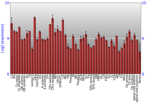 Expression graph