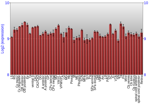 Expression graph