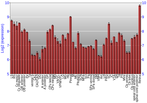 Expression graph