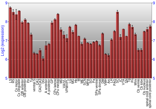 Multi-state expression graph
