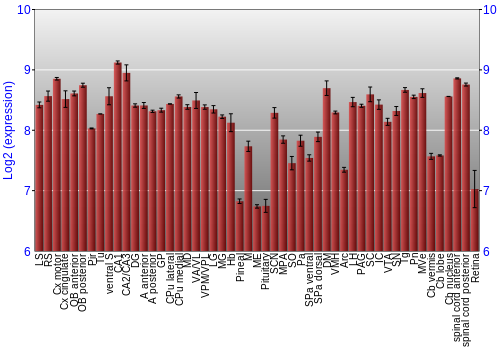 Expression graph