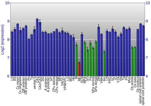 Multi-state expression graph