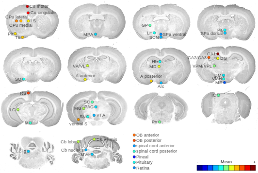 Expression map