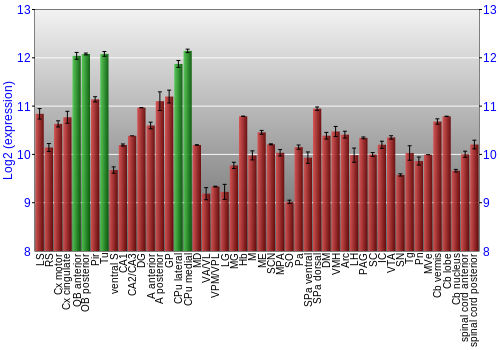 Multi-state expression graph