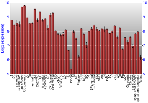 Expression graph