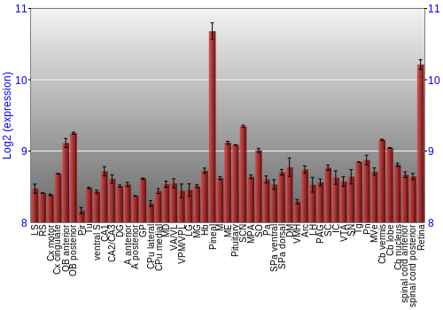 Expression graph