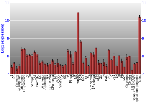 Expression graph