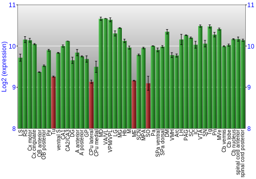Multi-state expression graph