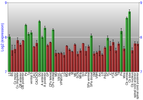 Multi-state expression graph