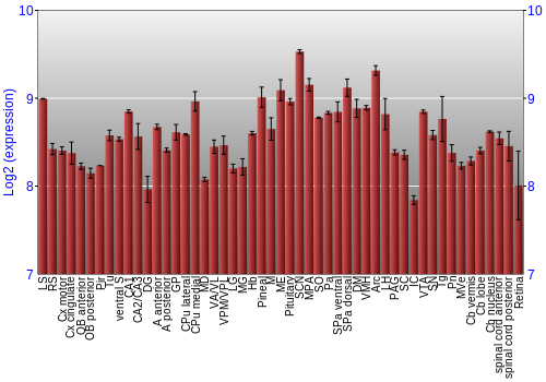 Expression graph