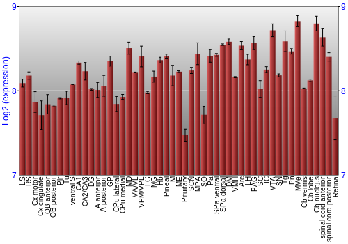 Expression graph