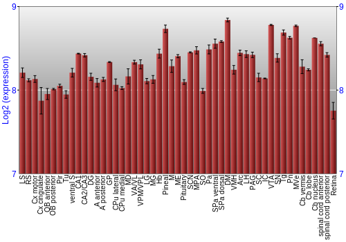 Expression graph