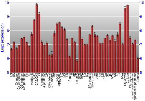 Expression graph