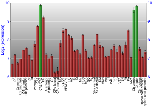 Multi-state expression graph