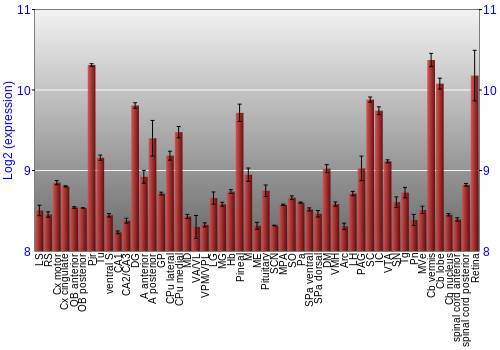 Expression graph