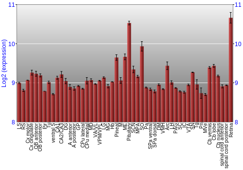 Expression graph