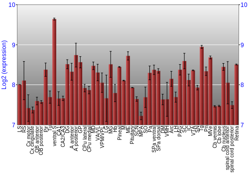 Expression graph