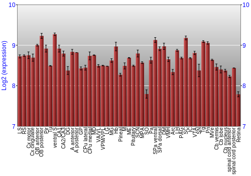Expression graph