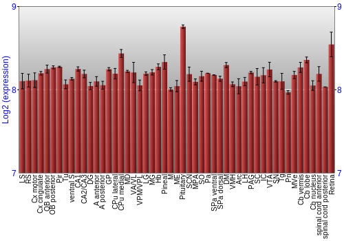 Expression graph