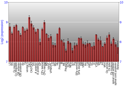 Expression graph