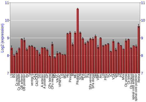 Expression graph