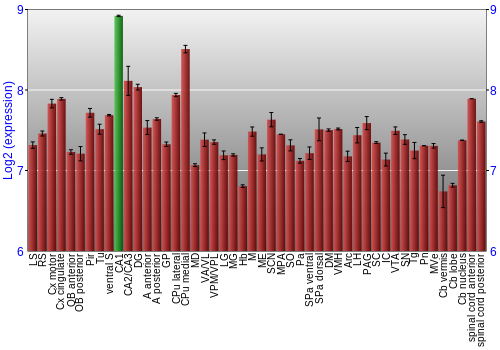 Multi-state expression graph