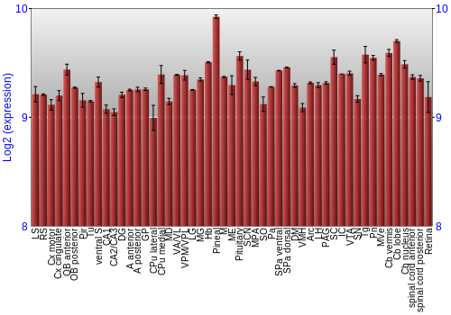 Expression graph